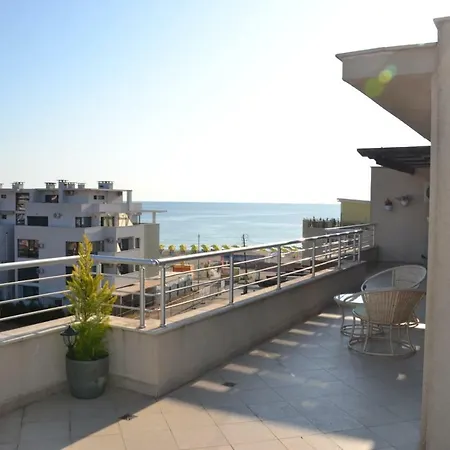 хармани * 소조폴